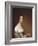 Mrs. Josiah Quincy. Gilbert Stuart, 1809-Gilbert Stuart-Framed Giclee Print