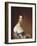 Mrs. Josiah Quincy. Gilbert Stuart, 1809-Gilbert Stuart-Framed Giclee Print