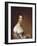 Mrs. Josiah Quincy. Gilbert Stuart, 1809-Gilbert Stuart-Framed Giclee Print