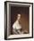 Mrs. Josiah Quincy. Gilbert Stuart, 1809-Gilbert Stuart-Framed Giclee Print