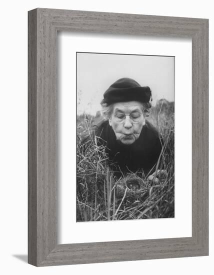 Mrs. Margaret Morse Nice Lying Flat in Grass to Study Nest of Baby Field Sparrows-Al Fenn-Framed Photographic Print