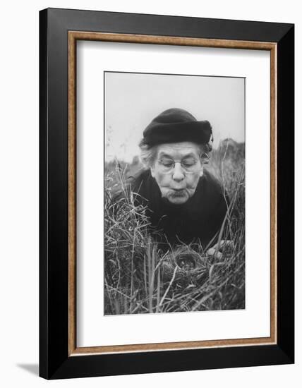 Mrs. Margaret Morse Nice Lying Flat in Grass to Study Nest of Baby Field Sparrows-Al Fenn-Framed Photographic Print