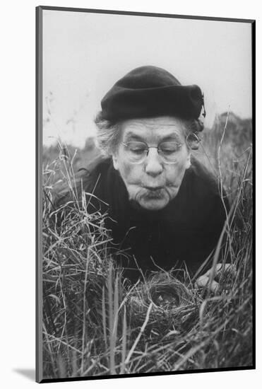 Mrs. Margaret Morse Nice Lying Flat in Grass to Study Nest of Baby Field Sparrows-Al Fenn-Mounted Photographic Print