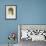 Mrs. Mary Zambaco Nee Mary Cassavetti-Dante Gabriel Rossetti-Framed Giclee Print displayed on a wall