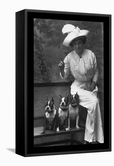 Mrs. Rhoades and Her Three Boston Terriers-null-Framed Stretched Canvas