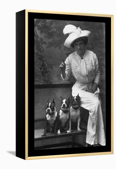 Mrs. Rhoades and Her Three Boston Terriers-null-Framed Stretched Canvas
