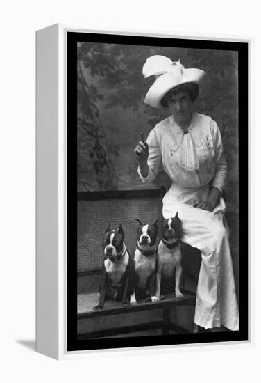 Mrs. Rhoades and Her Three Boston Terriers-null-Framed Stretched Canvas