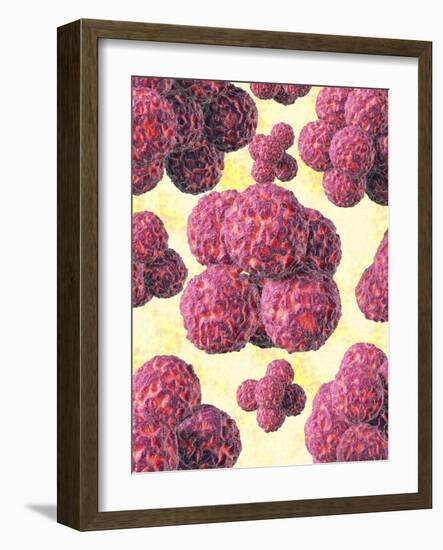 MRSA Bacteria, Artwork-David Mack-Framed Photographic Print