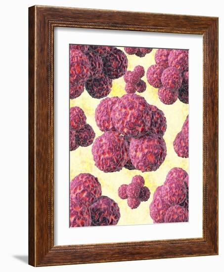 MRSA Bacteria, Artwork-David Mack-Framed Photographic Print