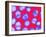 MRSA Bacteria-Biomedical Imaging-Framed Photographic Print