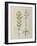 Ms Fr. Fv VI #1 Fol.116V Two Flowering Plants from 'The Book of Simple Medicines' by Mattheaus Plat-Robinet Testard-Framed Giclee Print