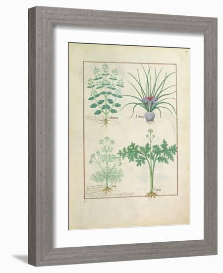 Ms Fr. Fv VI #1 Fol.121R Calamint-Robinet Testard-Framed Giclee Print