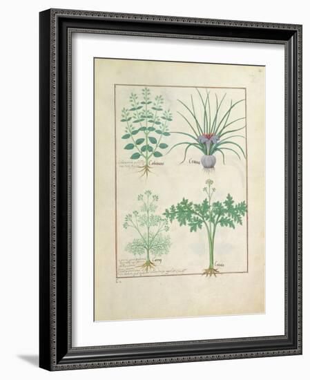 Ms Fr. Fv VI #1 Fol.121R Calamint-Robinet Testard-Framed Giclee Print