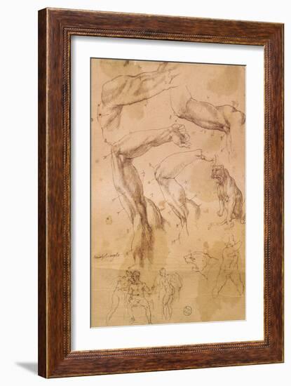 Ms H 184 Fol.202 Studies of Raised Arms, a Wild Cat and a Group of Figures-Michelangelo Buonarroti-Framed Giclee Print