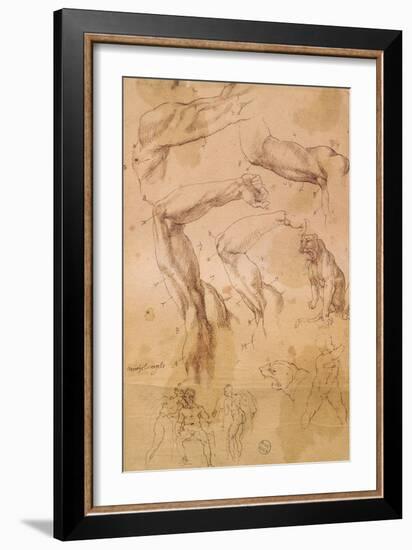 Ms H 184 Fol.202 Studies of Raised Arms, a Wild Cat and a Group of Figures-Michelangelo Buonarroti-Framed Giclee Print