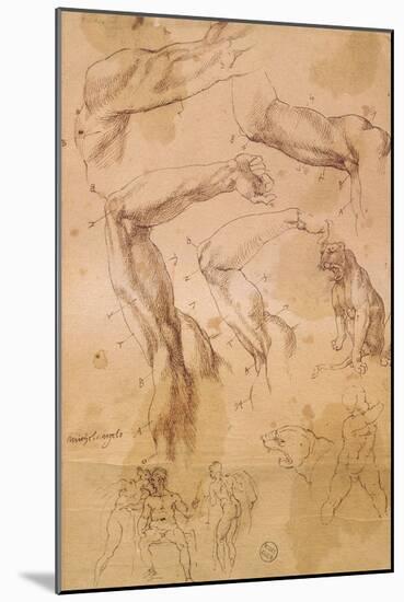 Ms H 184 Fol.202 Studies of Raised Arms, a Wild Cat and a Group of Figures-Michelangelo Buonarroti-Mounted Giclee Print