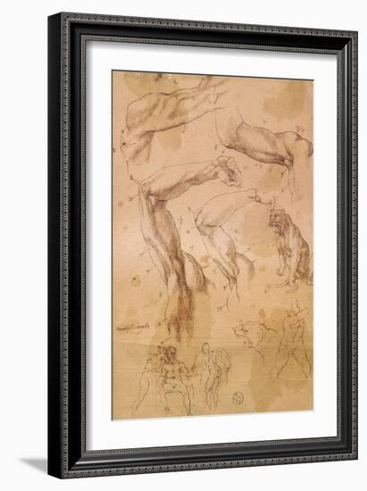 Ms H 184 Fol.202 Studies of Raised Arms, a Wild Cat and a Group of Figures-Michelangelo Buonarroti-Framed Giclee Print