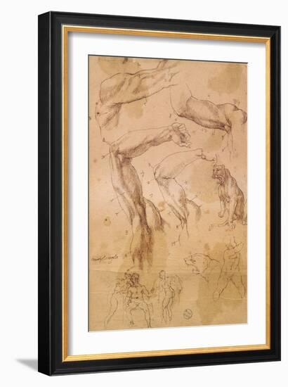 Ms H 184 Fol.202 Studies of Raised Arms, a Wild Cat and a Group of Figures-Michelangelo Buonarroti-Framed Giclee Print