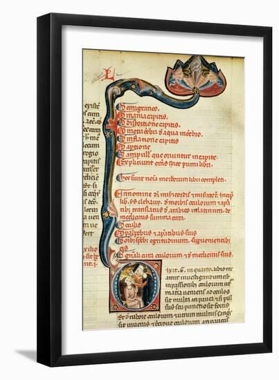 Ms.Lat.6912 Illuminations from Volume 2 of the 'Continens' of Rhazes Concerning Opthalmology and…-Giovanni da Monte Cassino-Framed Giclee Print