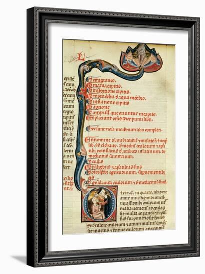 Ms.Lat.6912 Illuminations from Volume 2 of the 'Continens' of Rhazes Concerning Opthalmology and…-Giovanni da Monte Cassino-Framed Giclee Print