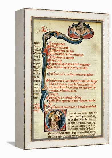 Ms.Lat.6912 Illuminations from Volume 2 of the 'Continens' of Rhazes Concerning Opthalmology and…-Giovanni da Monte Cassino-Framed Premier Image Canvas