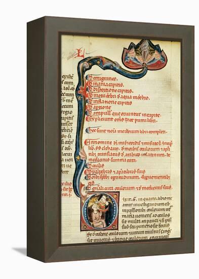 Ms.Lat.6912 Illuminations from Volume 2 of the 'Continens' of Rhazes Concerning Opthalmology and…-Giovanni da Monte Cassino-Framed Premier Image Canvas