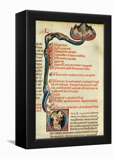 Ms.Lat.6912 Illuminations from Volume 2 of the 'Continens' of Rhazes Concerning Opthalmology and…-Giovanni da Monte Cassino-Framed Premier Image Canvas