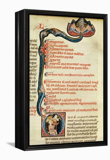 Ms.Lat.6912 Illuminations from Volume 2 of the 'Continens' of Rhazes Concerning Opthalmology and…-Giovanni da Monte Cassino-Framed Premier Image Canvas