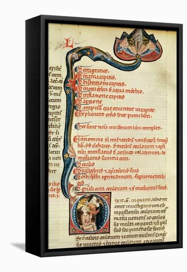 Ms.Lat.6912 Illuminations from Volume 2 of the 'Continens' of Rhazes Concerning Opthalmology and…-Giovanni da Monte Cassino-Framed Premier Image Canvas