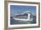 MS Ruby Princess Cruise Ship-Tony Craddock-Framed Photographic Print