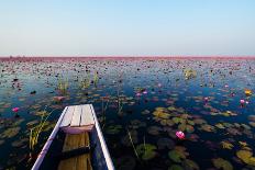 Sea of Red Lotus , Marsh Red Lotus , Small Boat in the Lotus , Caravel , Small Boat in the Sea of R-MSPT-Photographic Print
