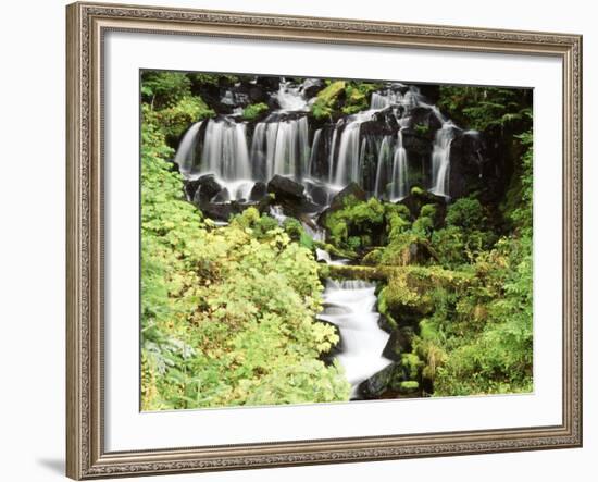 Mt. Adams and Twin Falls, Gifort Pinchot National Forest, Washington State, USA-Stuart Westmorland-Framed Photographic Print