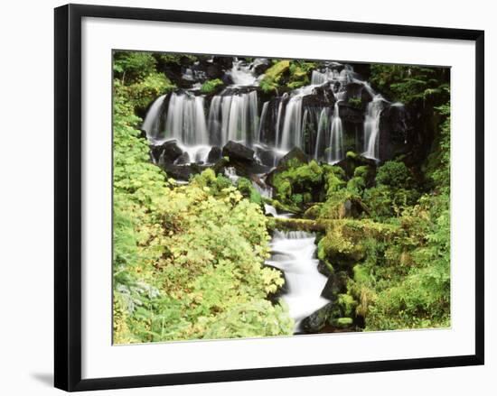 Mt. Adams and Twin Falls, Gifort Pinchot National Forest, Washington State, USA-Stuart Westmorland-Framed Photographic Print