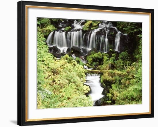 Mt. Adams and Twin Falls, Gifort Pinchot National Forest, Washington State, USA-Stuart Westmorland-Framed Photographic Print