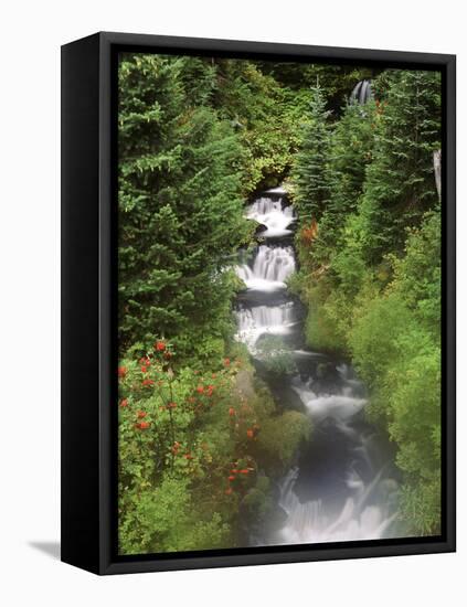 Mt. Adams and Twin Falls, Gifort Pinchot National Forest, Washington State, USA-Stuart Westmorland-Framed Premier Image Canvas