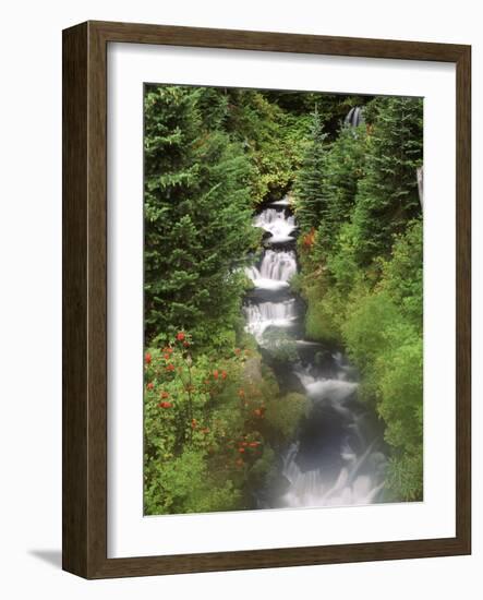 Mt. Adams and Twin Falls, Gifort Pinchot National Forest, Washington State, USA-Stuart Westmorland-Framed Photographic Print