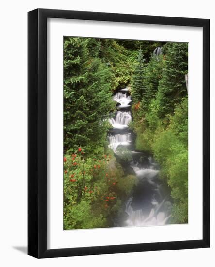 Mt. Adams and Twin Falls, Gifort Pinchot National Forest, Washington State, USA-Stuart Westmorland-Framed Photographic Print