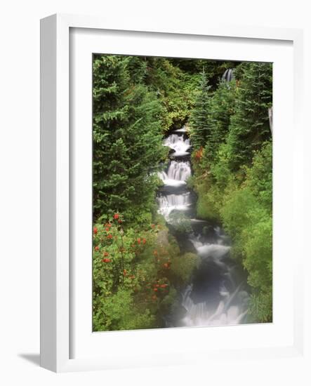 Mt. Adams and Twin Falls, Gifort Pinchot National Forest, Washington State, USA-Stuart Westmorland-Framed Photographic Print