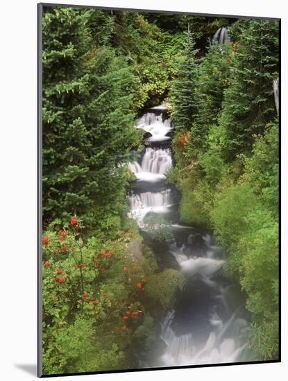 Mt. Adams and Twin Falls, Gifort Pinchot National Forest, Washington State, USA-Stuart Westmorland-Mounted Photographic Print