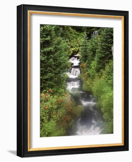 Mt. Adams and Twin Falls, Gifort Pinchot National Forest, Washington State, USA-Stuart Westmorland-Framed Photographic Print