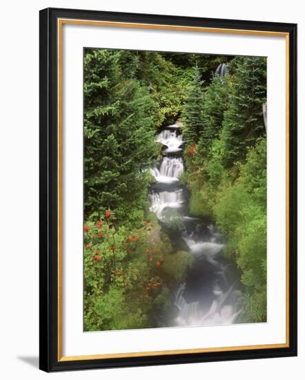 Mt. Adams and Twin Falls, Gifort Pinchot National Forest, Washington State, USA-Stuart Westmorland-Framed Photographic Print
