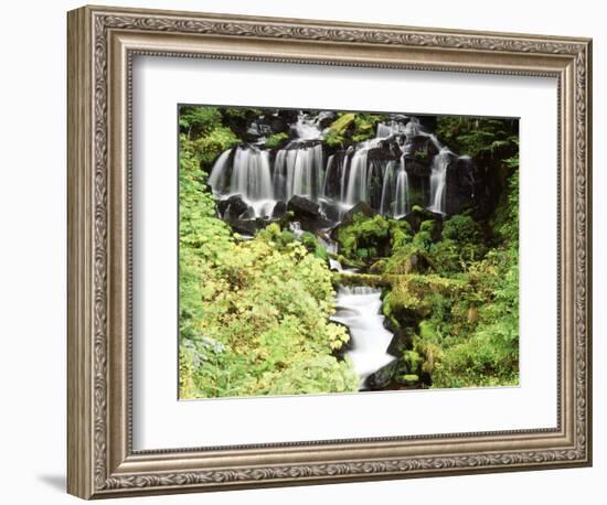 Mt. Adams and Twin Falls, Gifort Pinchot National Forest, Washington State, USA-Stuart Westmorland-Framed Photographic Print