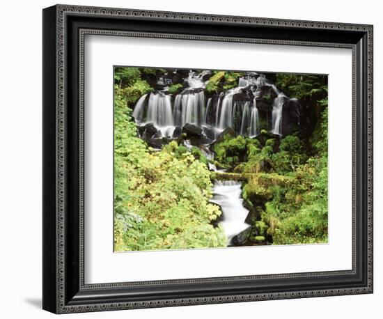 Mt. Adams and Twin Falls, Gifort Pinchot National Forest, Washington State, USA-Stuart Westmorland-Framed Photographic Print