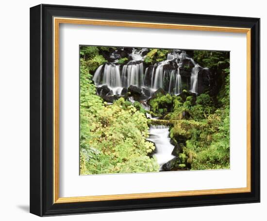 Mt. Adams and Twin Falls, Gifort Pinchot National Forest, Washington State, USA-Stuart Westmorland-Framed Photographic Print