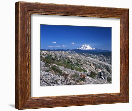 Mt Adams from Windy Ridge, Mt St Helens Volcanic National Monument, Washington, USA-Kent Foster-Framed Photographic Print