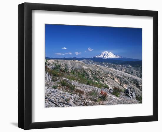 Mt Adams from Windy Ridge, Mt St Helens Volcanic National Monument, Washington, USA-Kent Foster-Framed Photographic Print