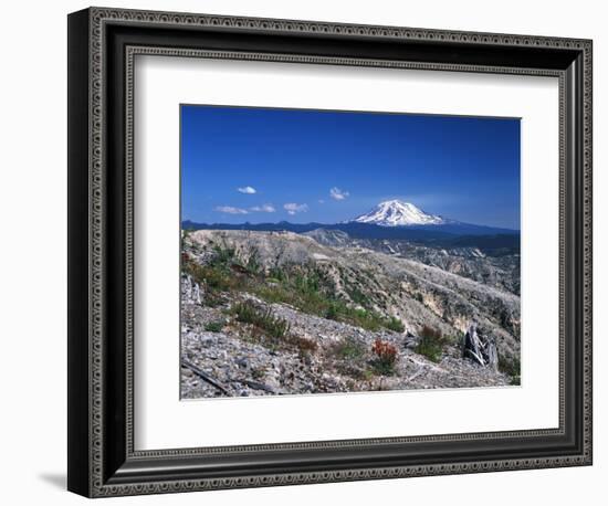 Mt Adams from Windy Ridge, Mt St Helens Volcanic National Monument, Washington, USA-Kent Foster-Framed Photographic Print