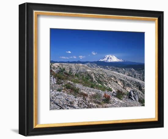 Mt Adams from Windy Ridge, Mt St Helens Volcanic National Monument, Washington, USA-Kent Foster-Framed Photographic Print