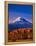 Mt. Adams III-Ike Leahy-Framed Premier Image Canvas