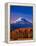 Mt. Adams III-Ike Leahy-Framed Premier Image Canvas